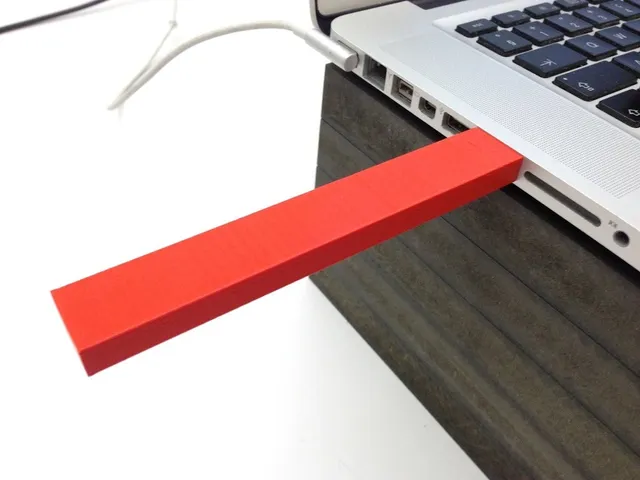 USB stick case