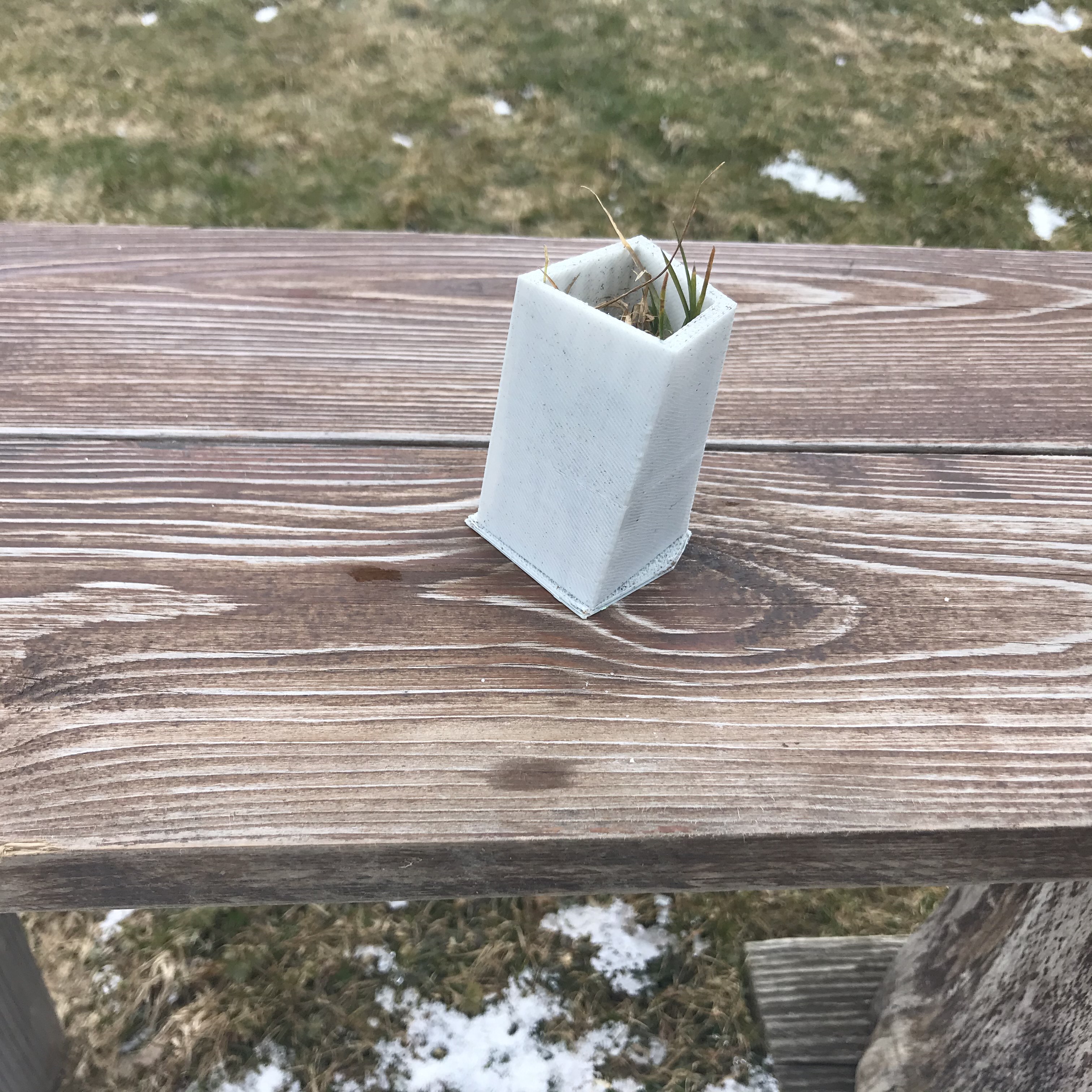 Modern box for seeds and flowers