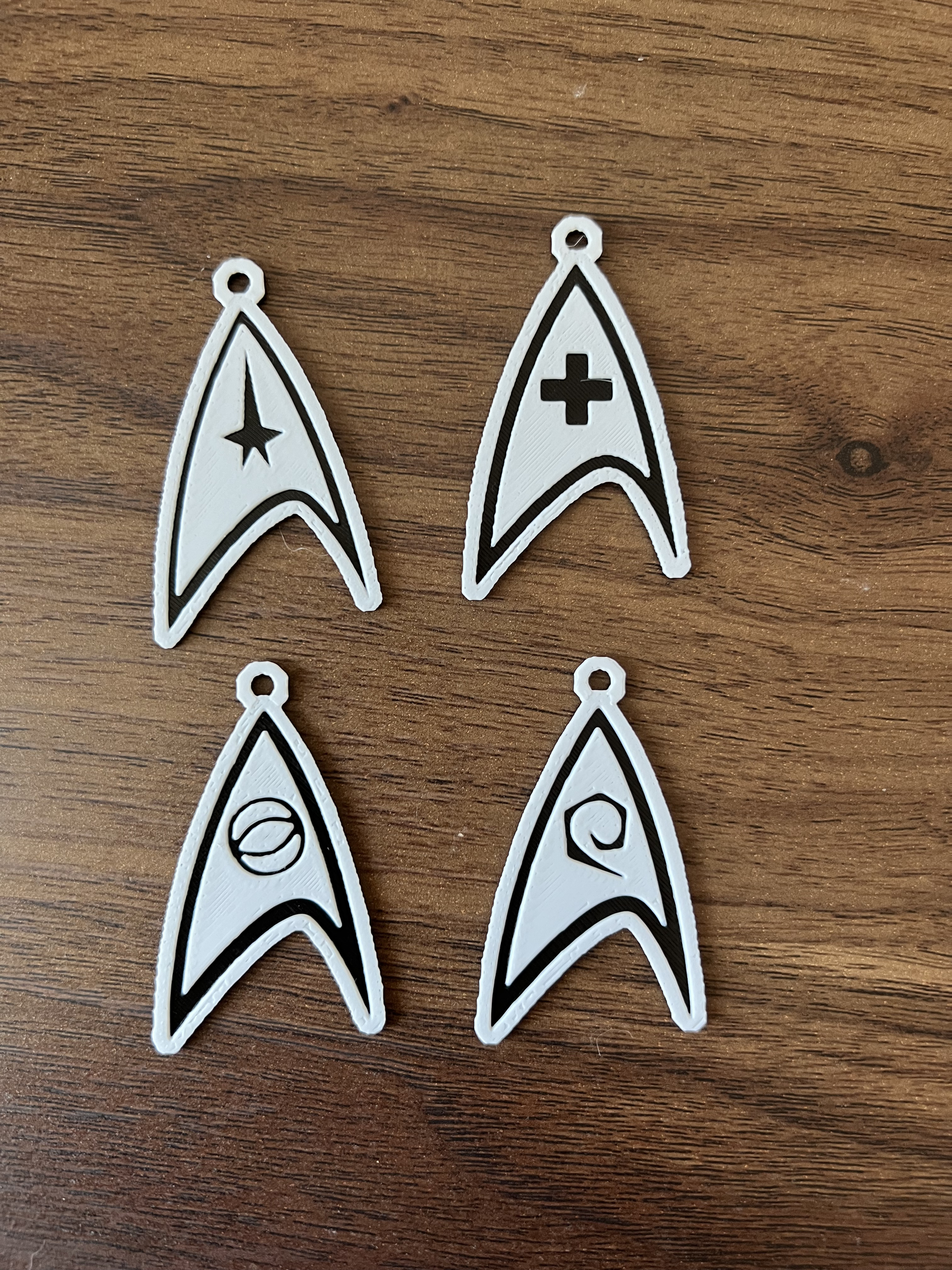 Star Trek Nametag Keychain