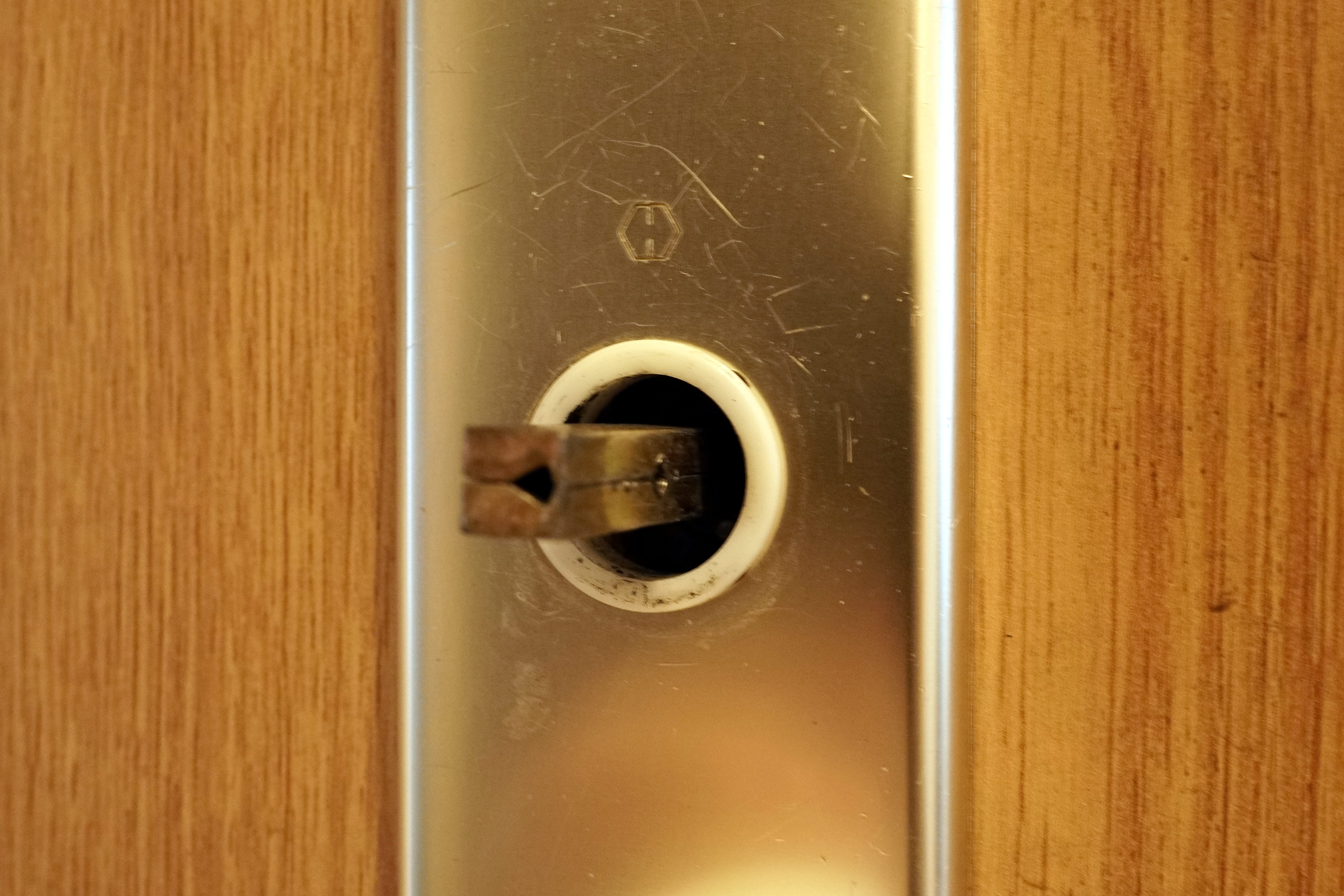 Schloßplatte Plastering /lock plate plastic insert