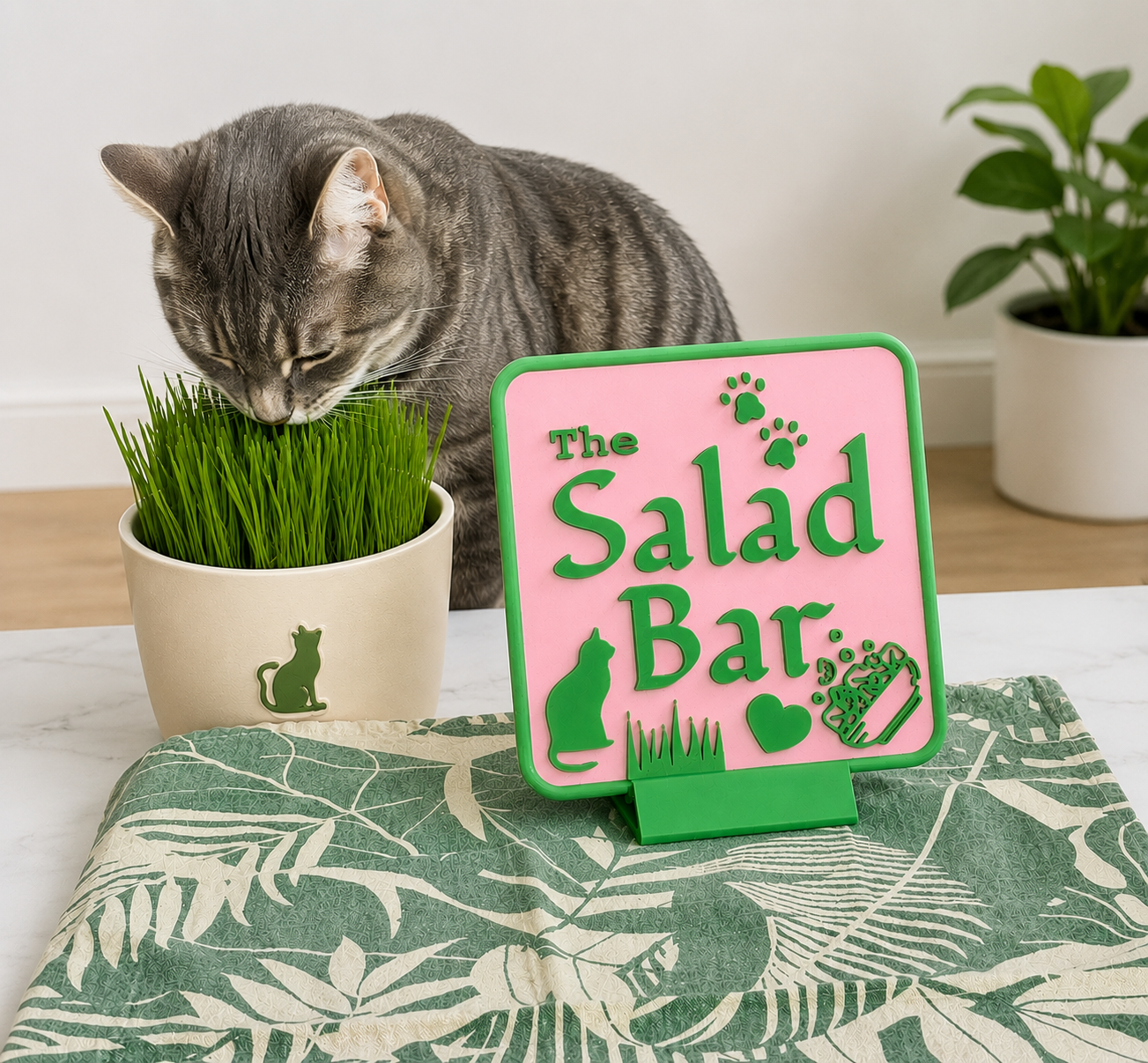 Cat Grass Sign - Salad Bar