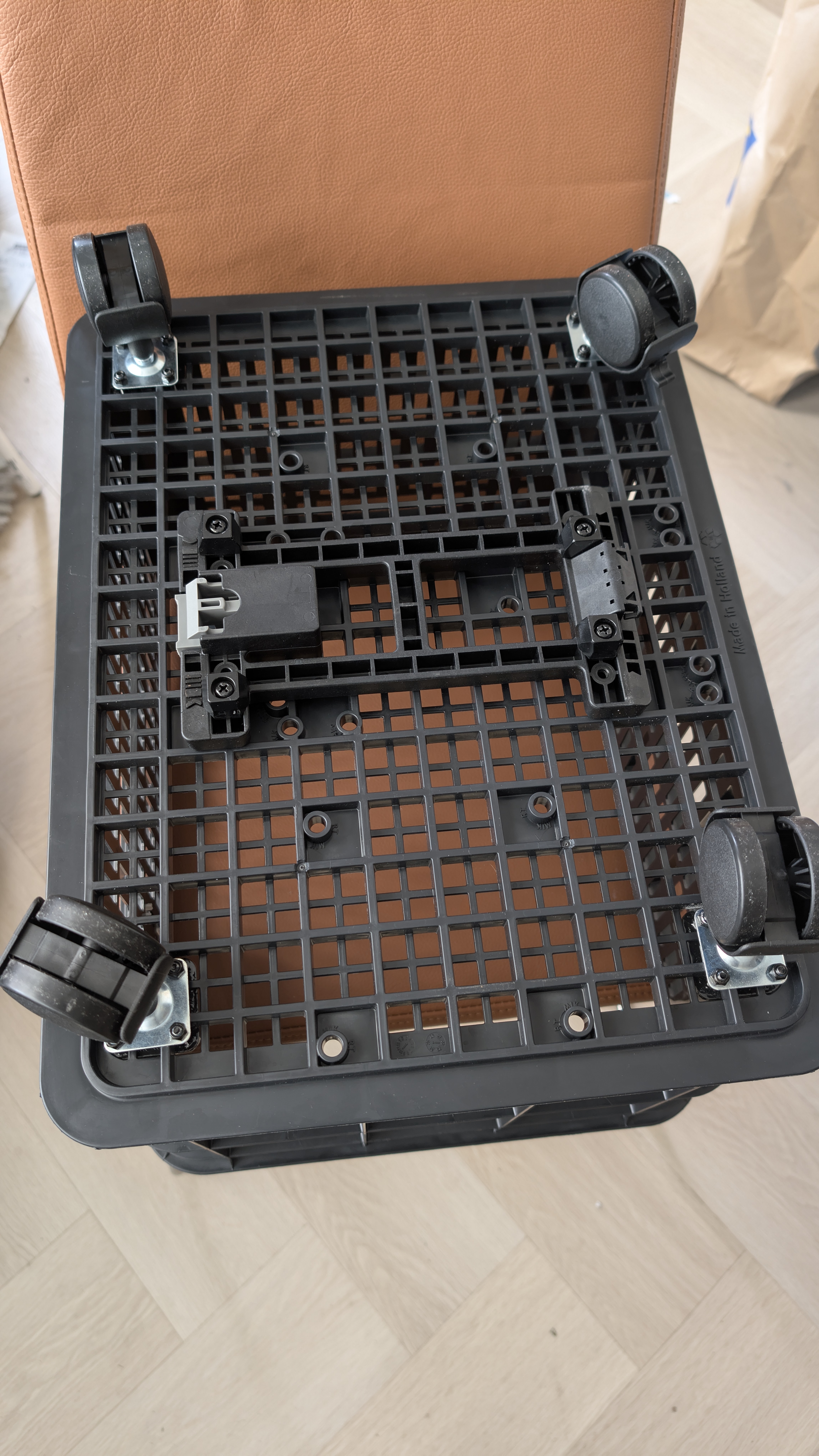 BASIL Got His Own Wheels! [Crate-to-Trolley] — thumbnail 3
