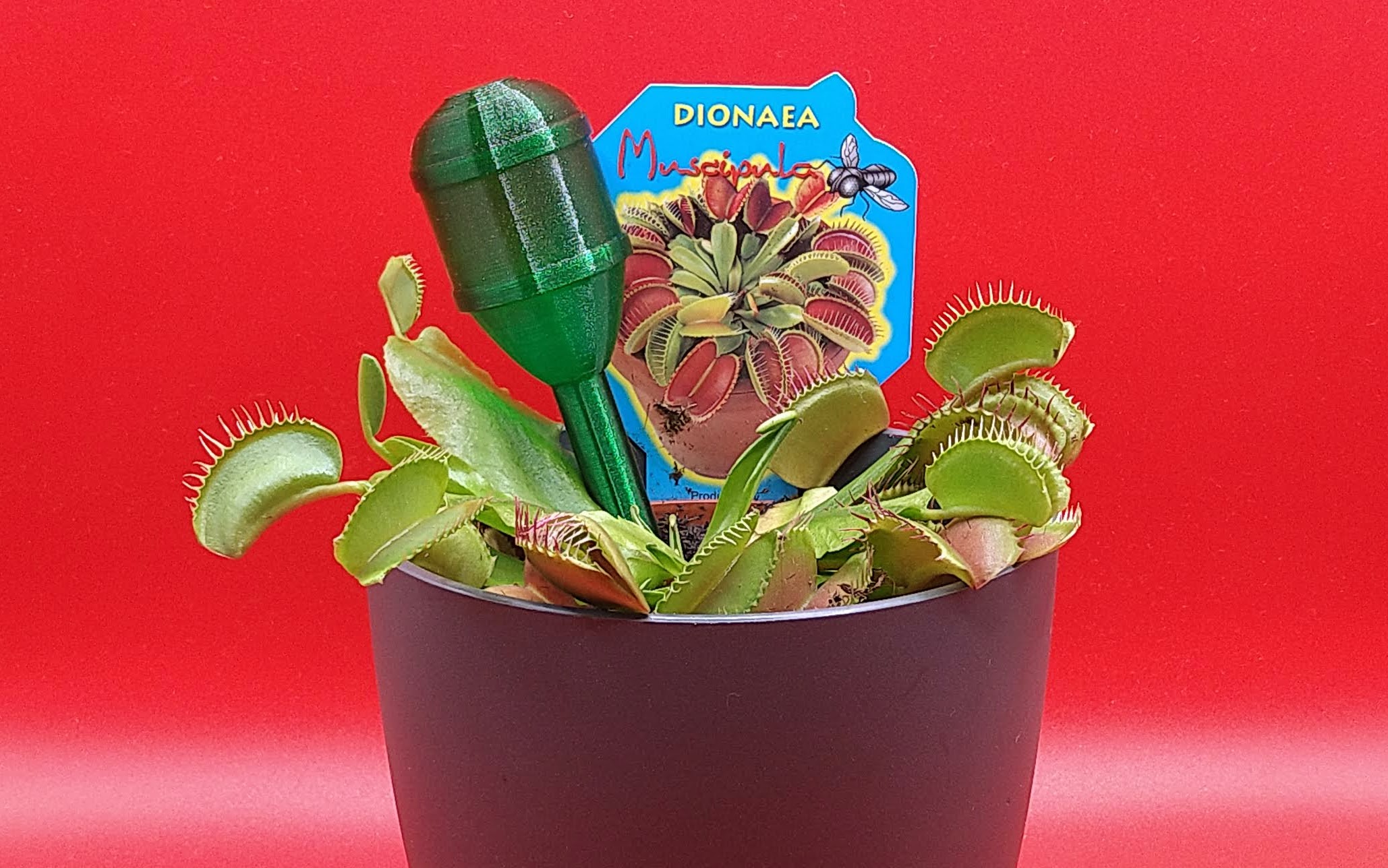 Indoor plants - mini water barrel by 3D PRINT | Download free STL model