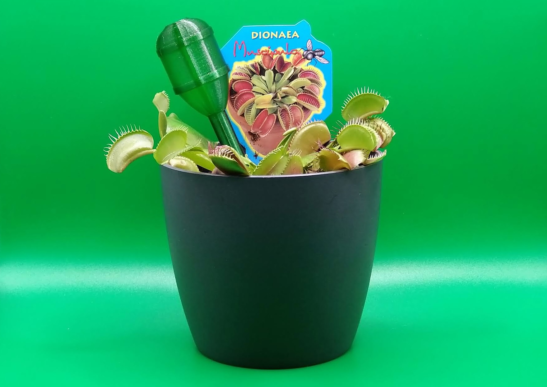 Indoor plants - mini water barrel by 3D PRINT | Download free STL model
