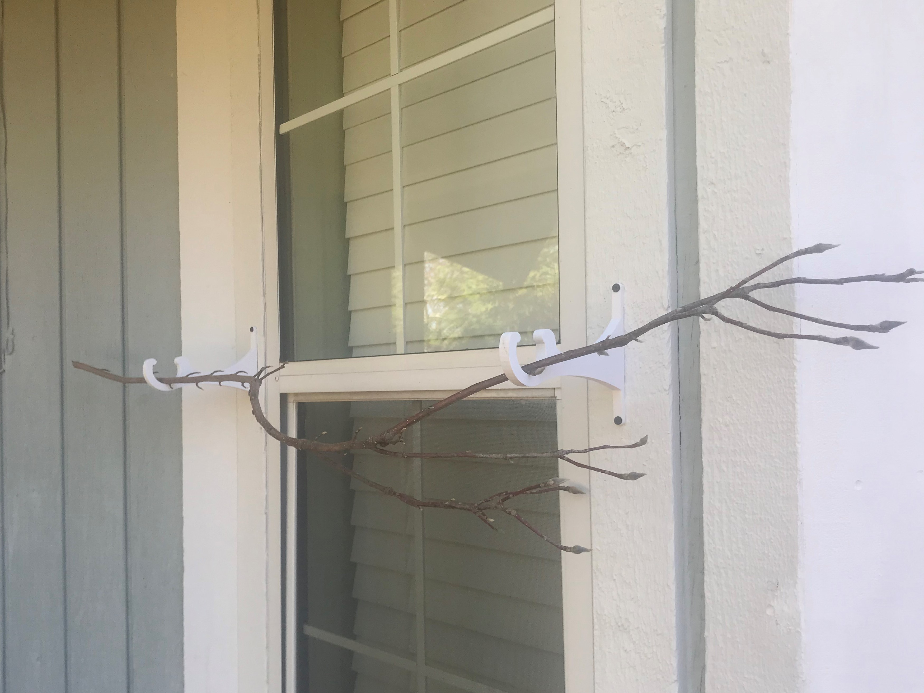 Image showcasing Bird Perch by actualSIZE | Download free STL model | Printables.com
