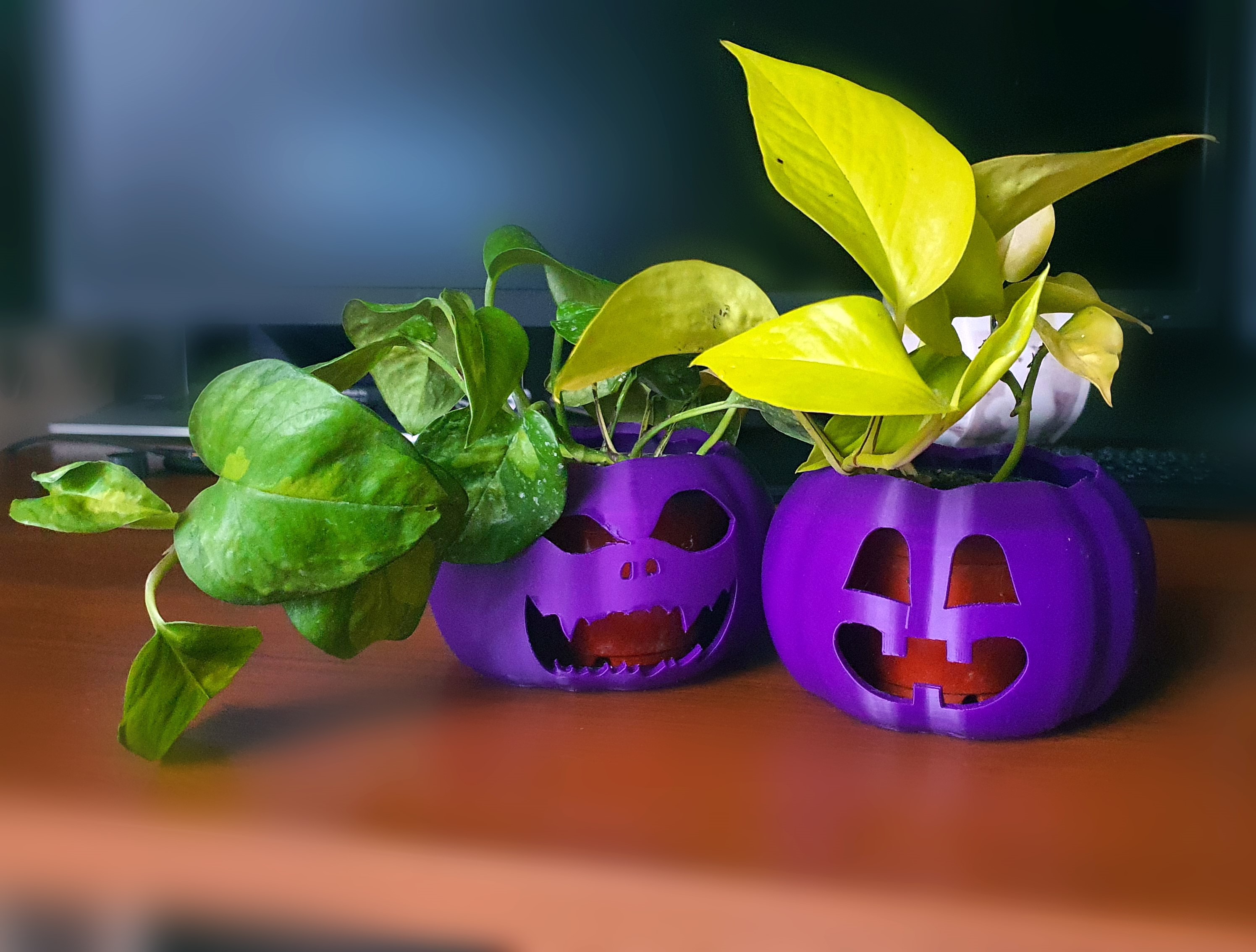 Pumpkin pots