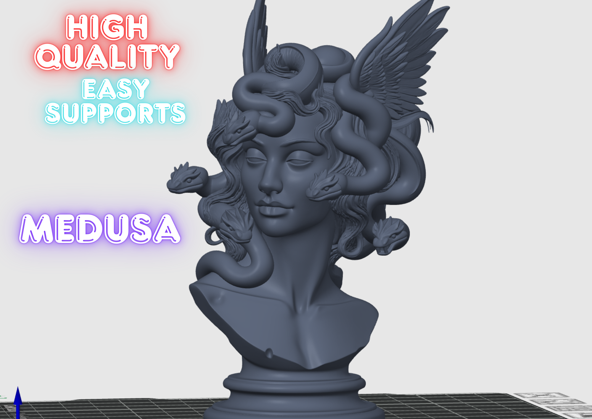 Medusa Bust