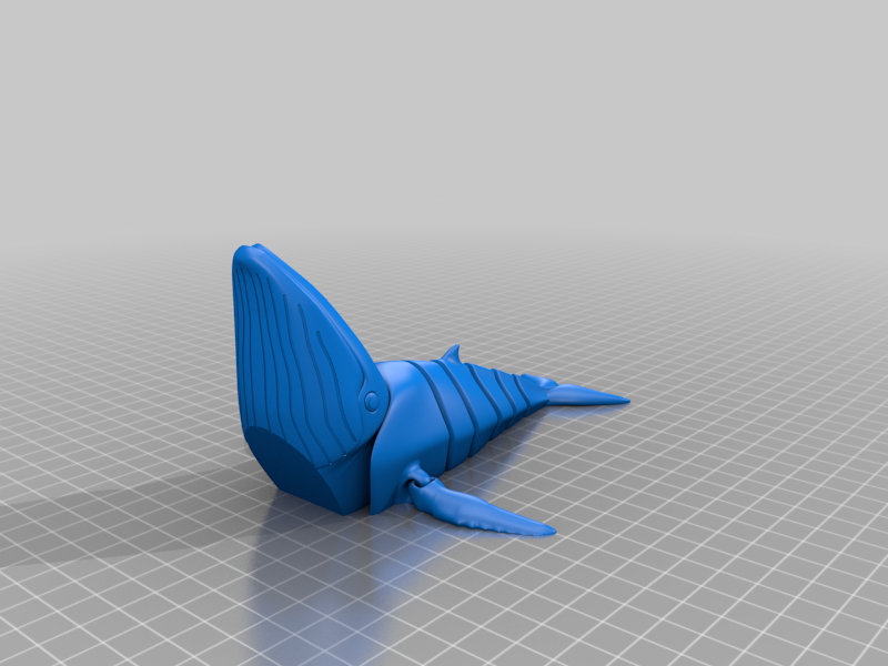 Flexi Humpback Whale (print-in-place) By 3d Flexseeds 