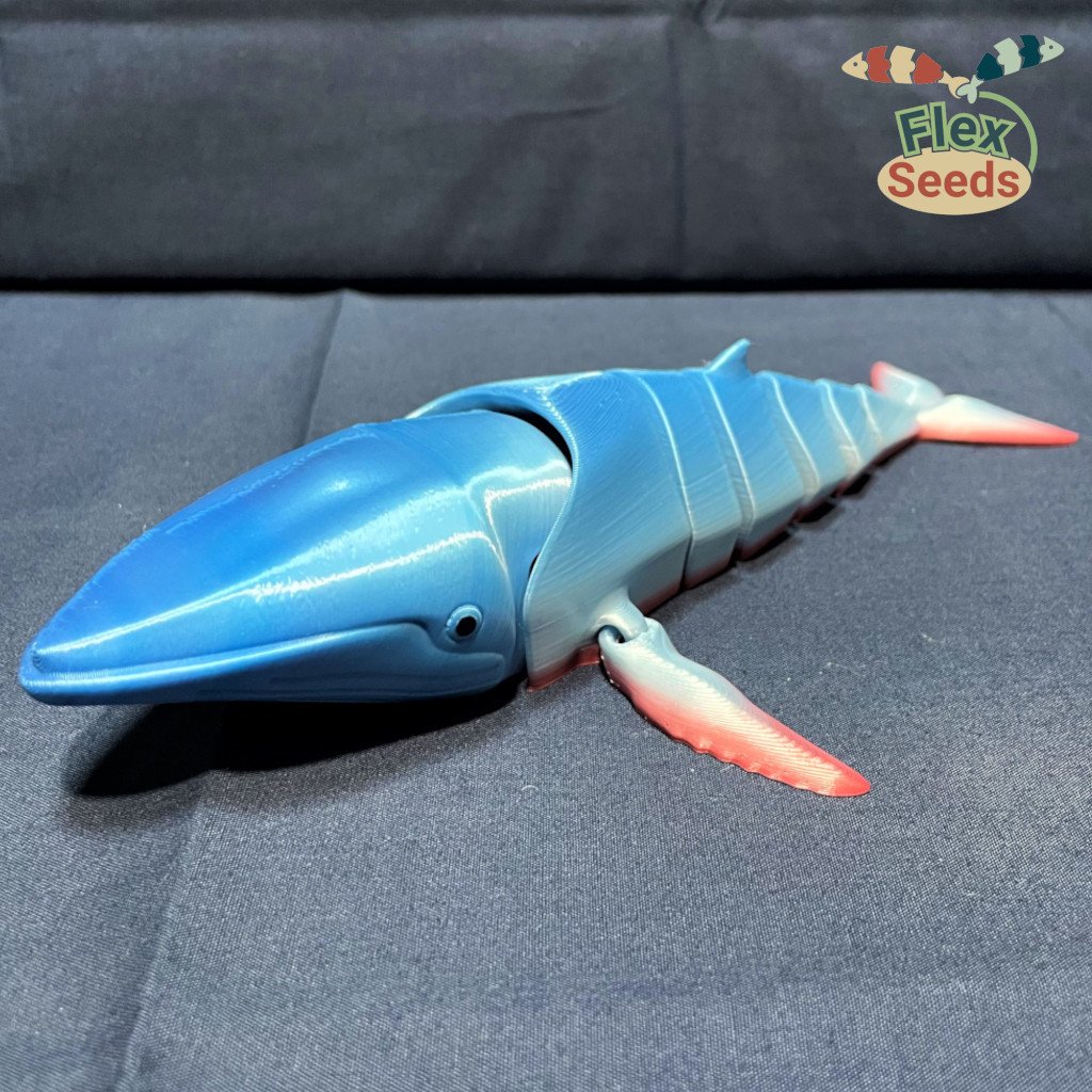 Flexi Humpback Whale (print-in-place) by 3D_Flexseeds | Download free ...
