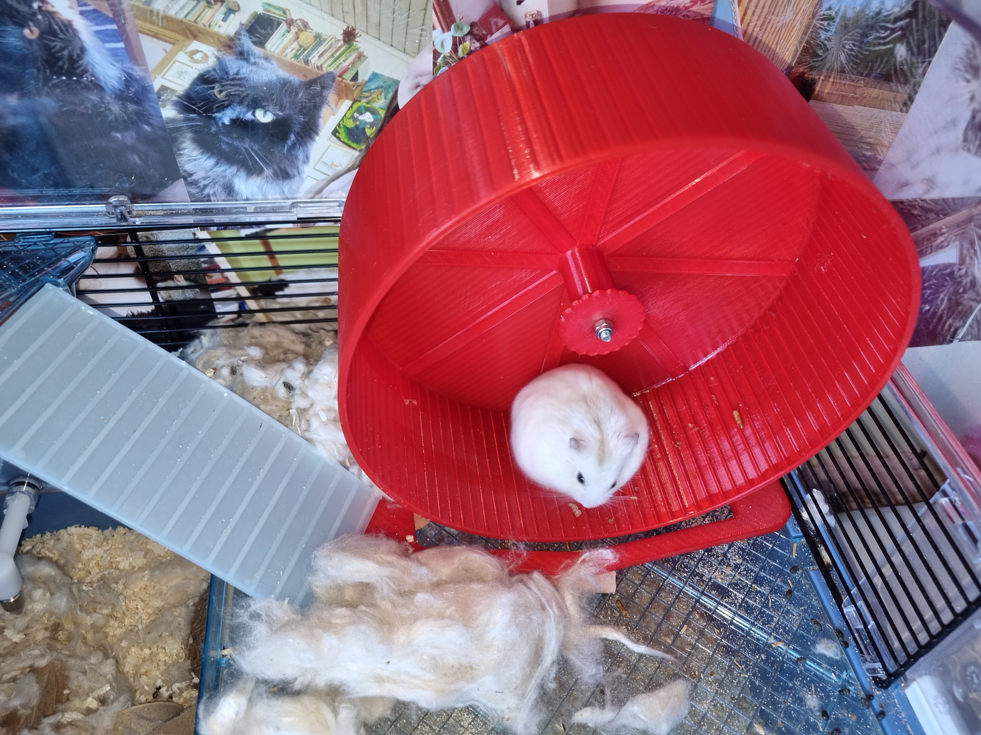 Hamster wheel