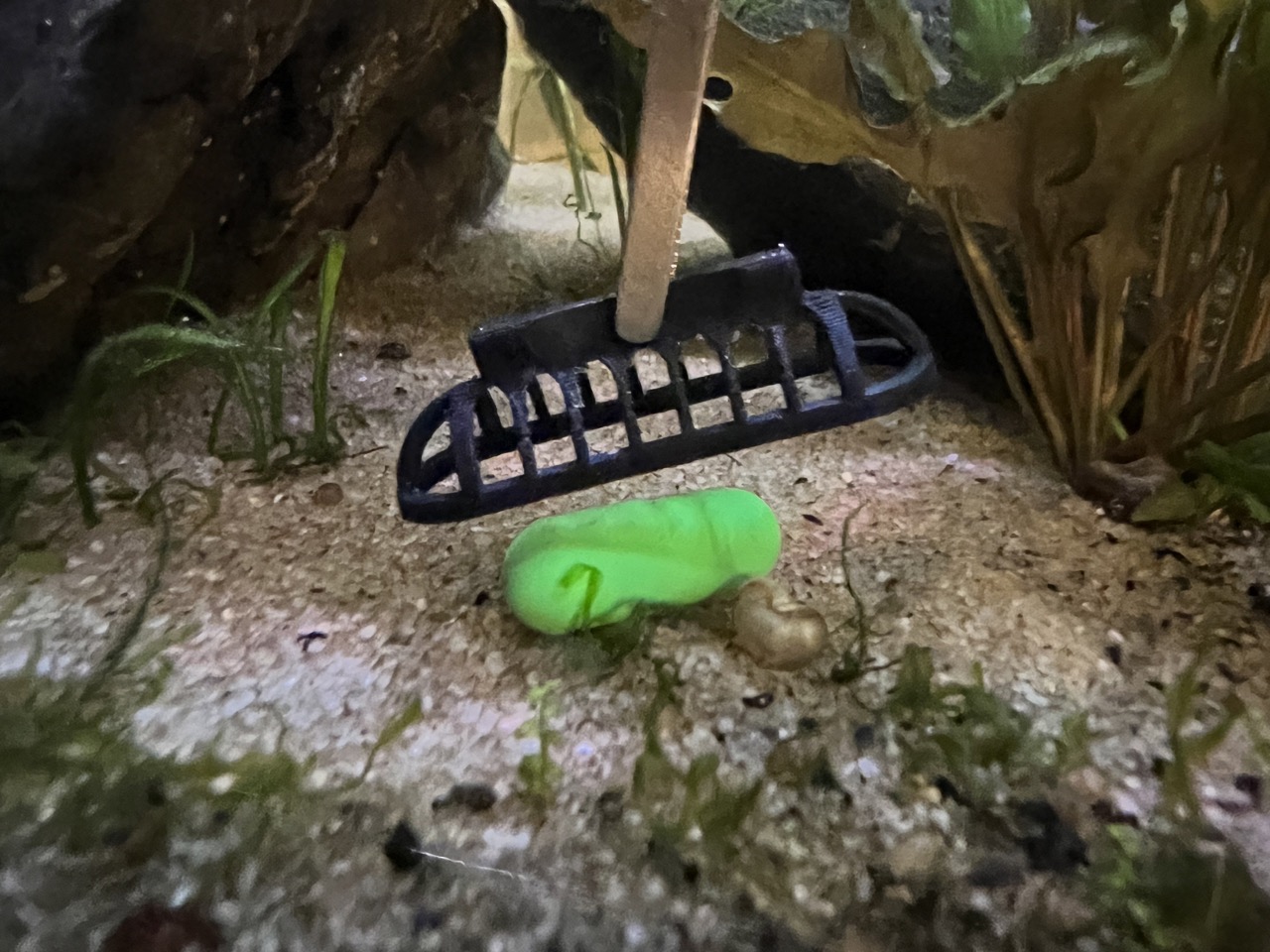 Root Tab Capsule Substrate Pusher