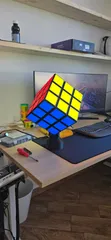 Gatto intelligente risolve il cubo di Rubik per ricevere i croccantini