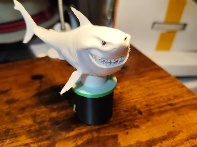 great white shark model