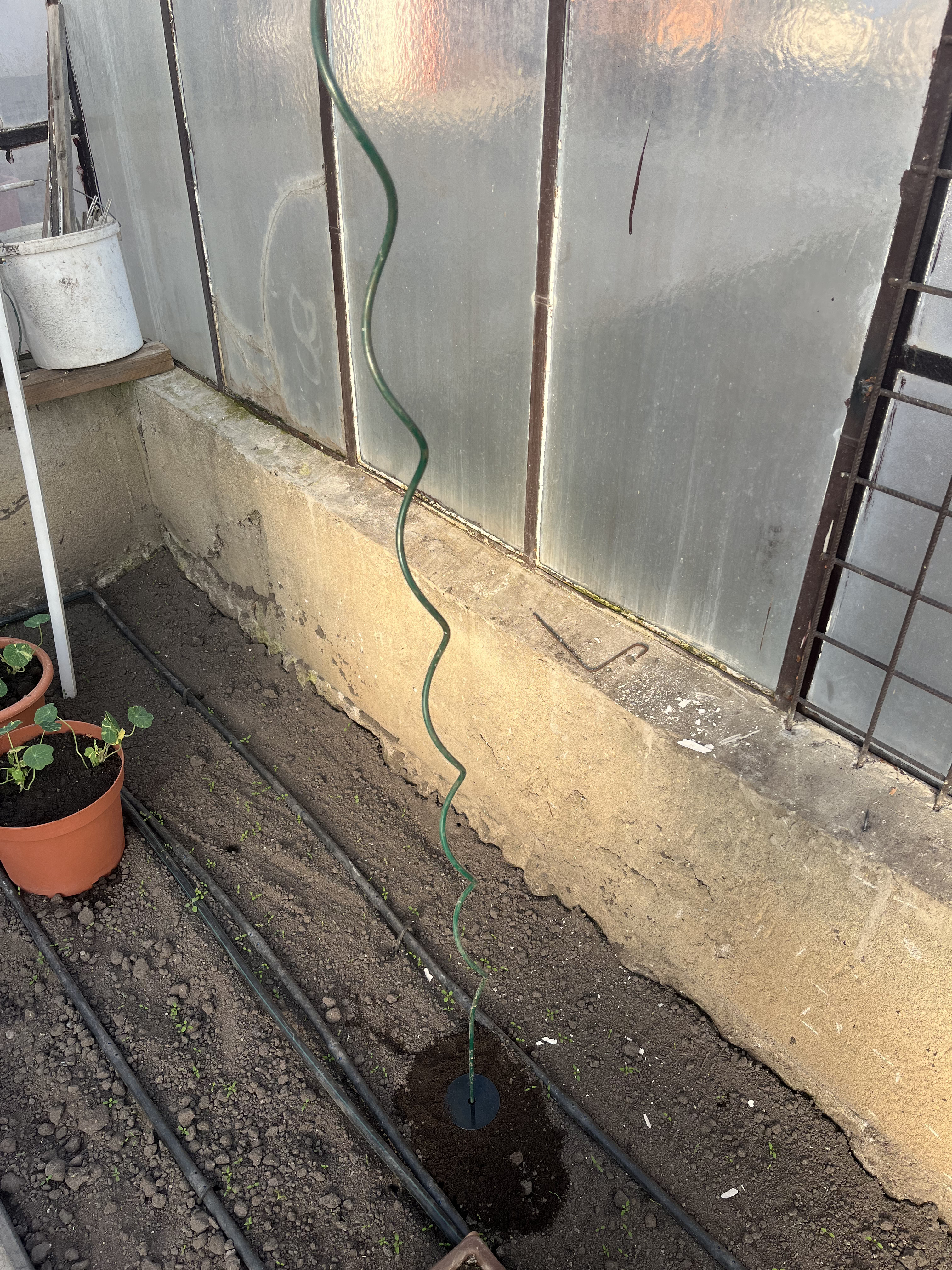 Základna pro lepší stabilitu k zahradní spirále na rajčata/Base for improved stability for garden tomato spiral