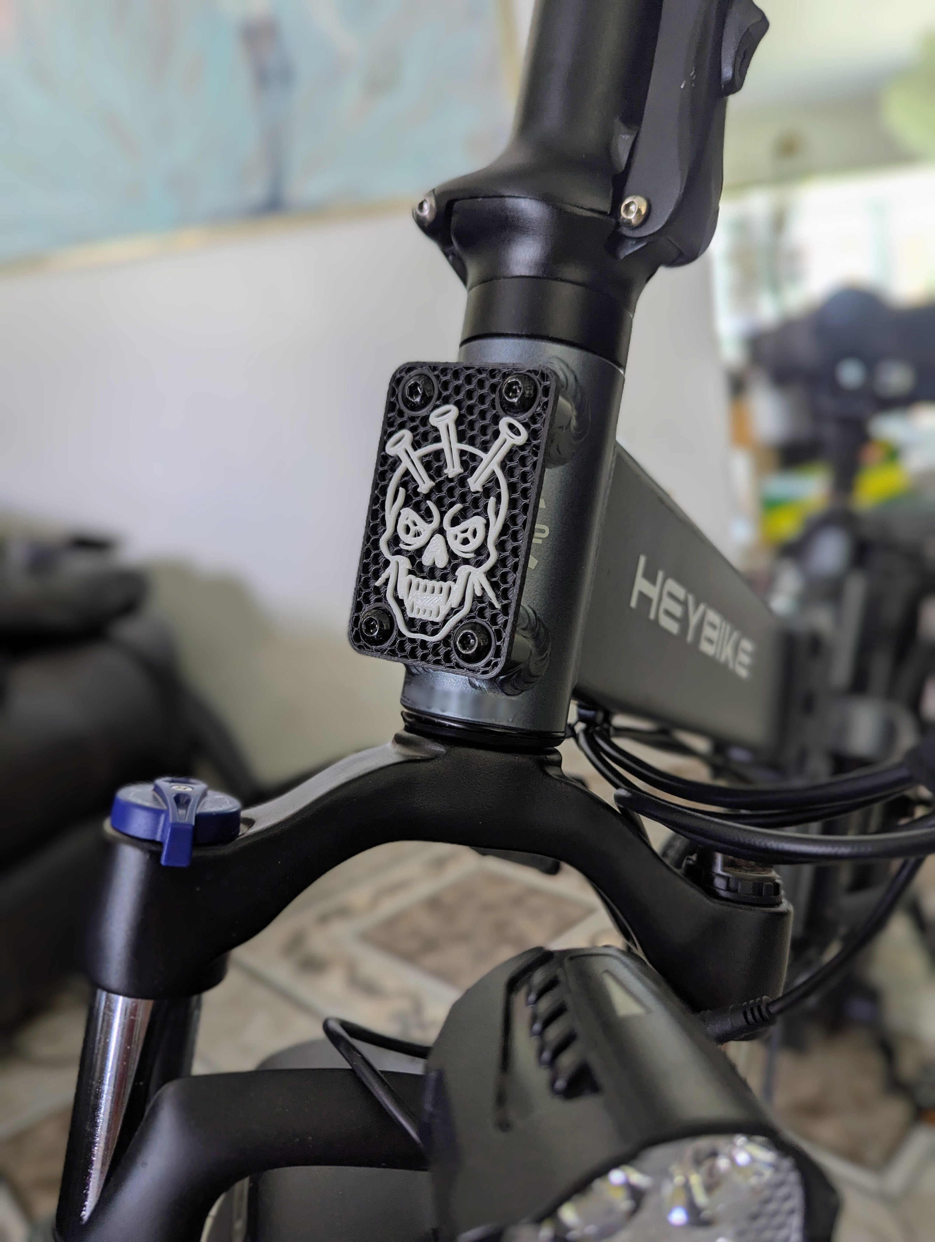Ebike Vanity Plate — thumbnail 2