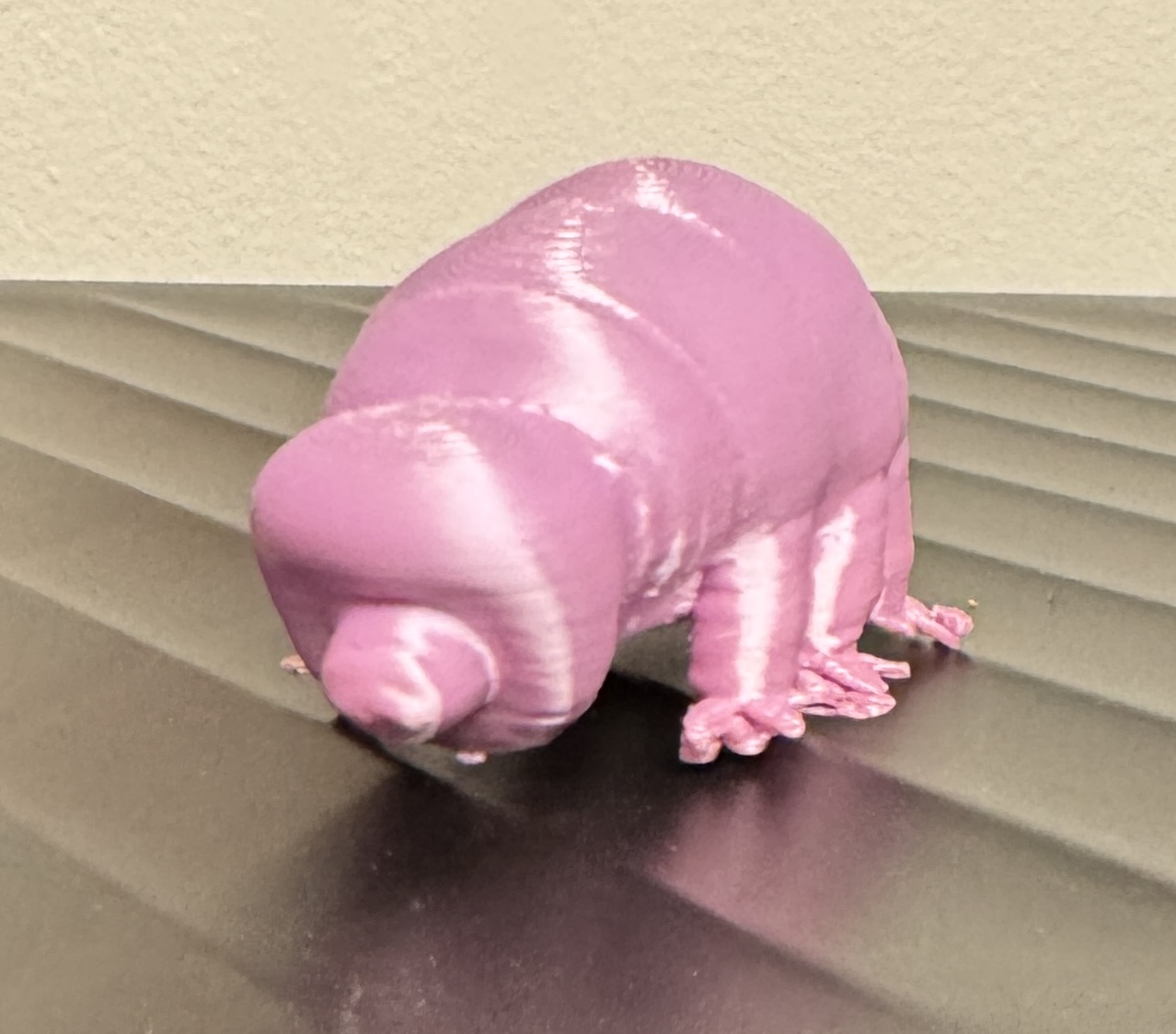 tardigrade (water bear)