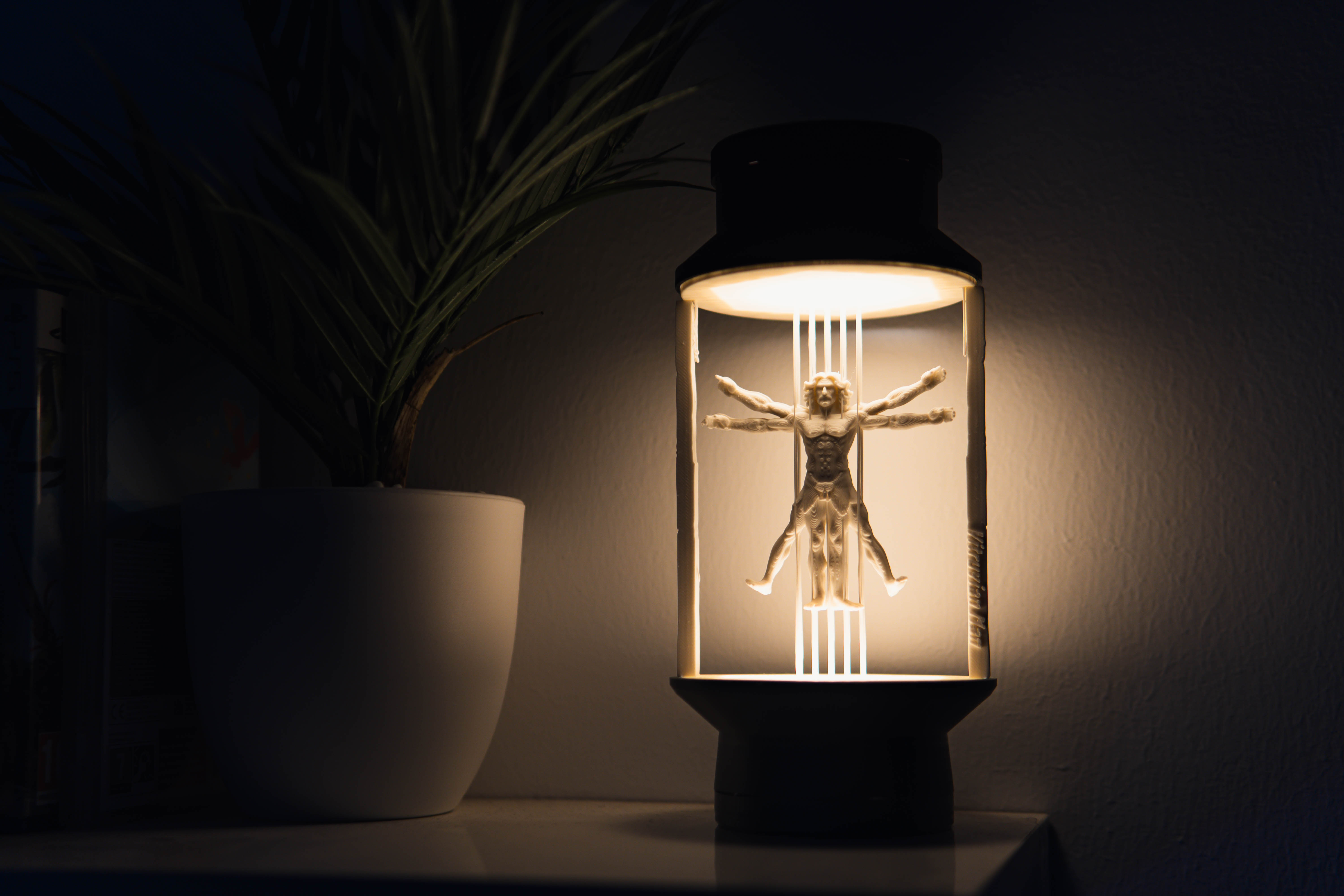 Vitruvian Man  - Suspended Lamp