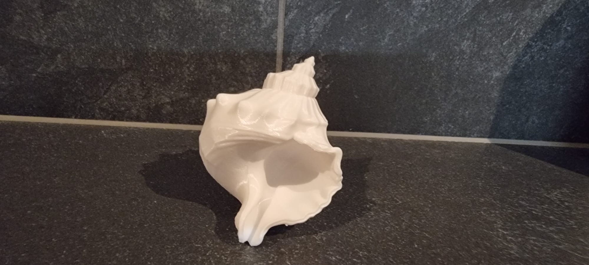 Miniatura 7 do modelo 3D Shell Decor