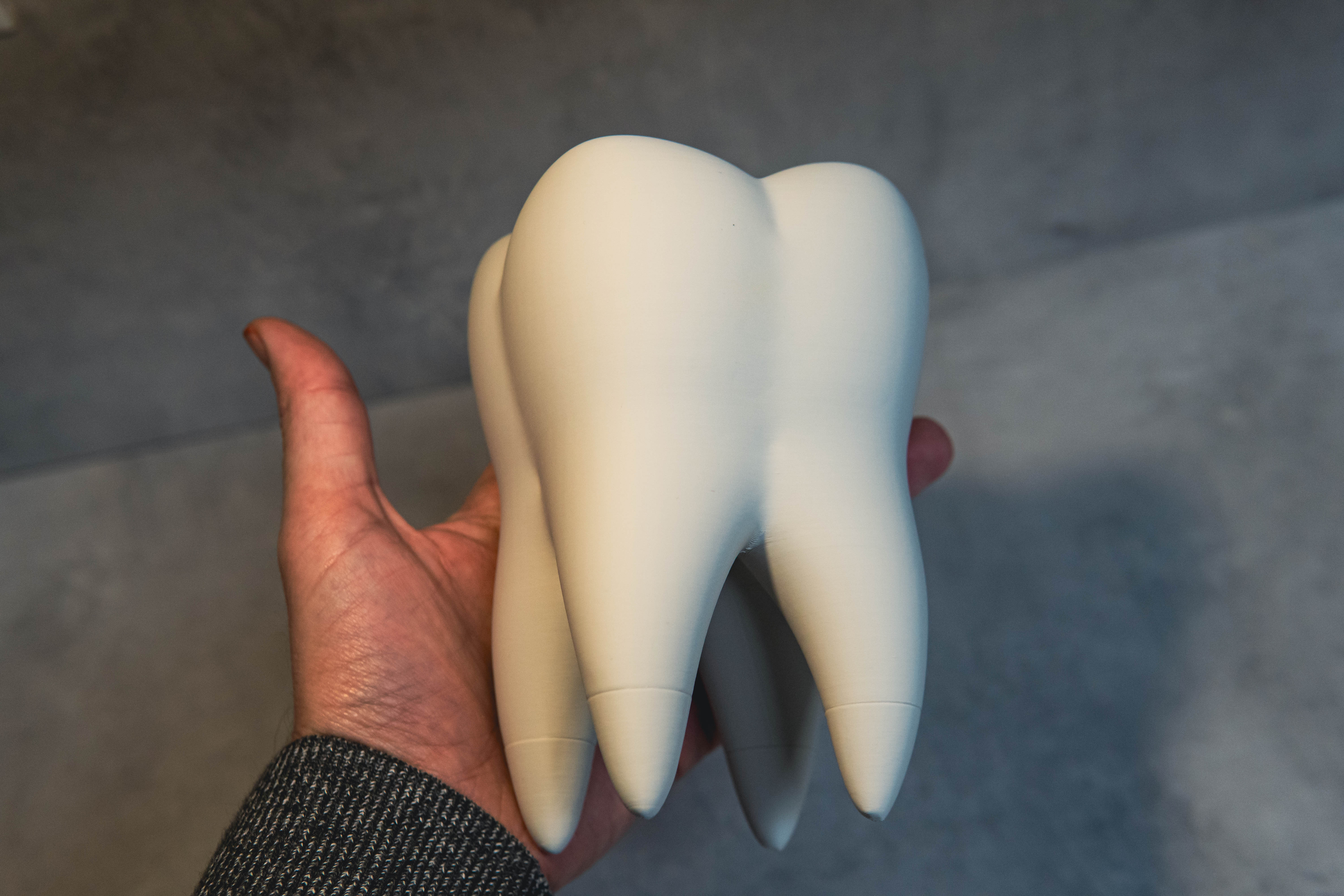 The Tooth