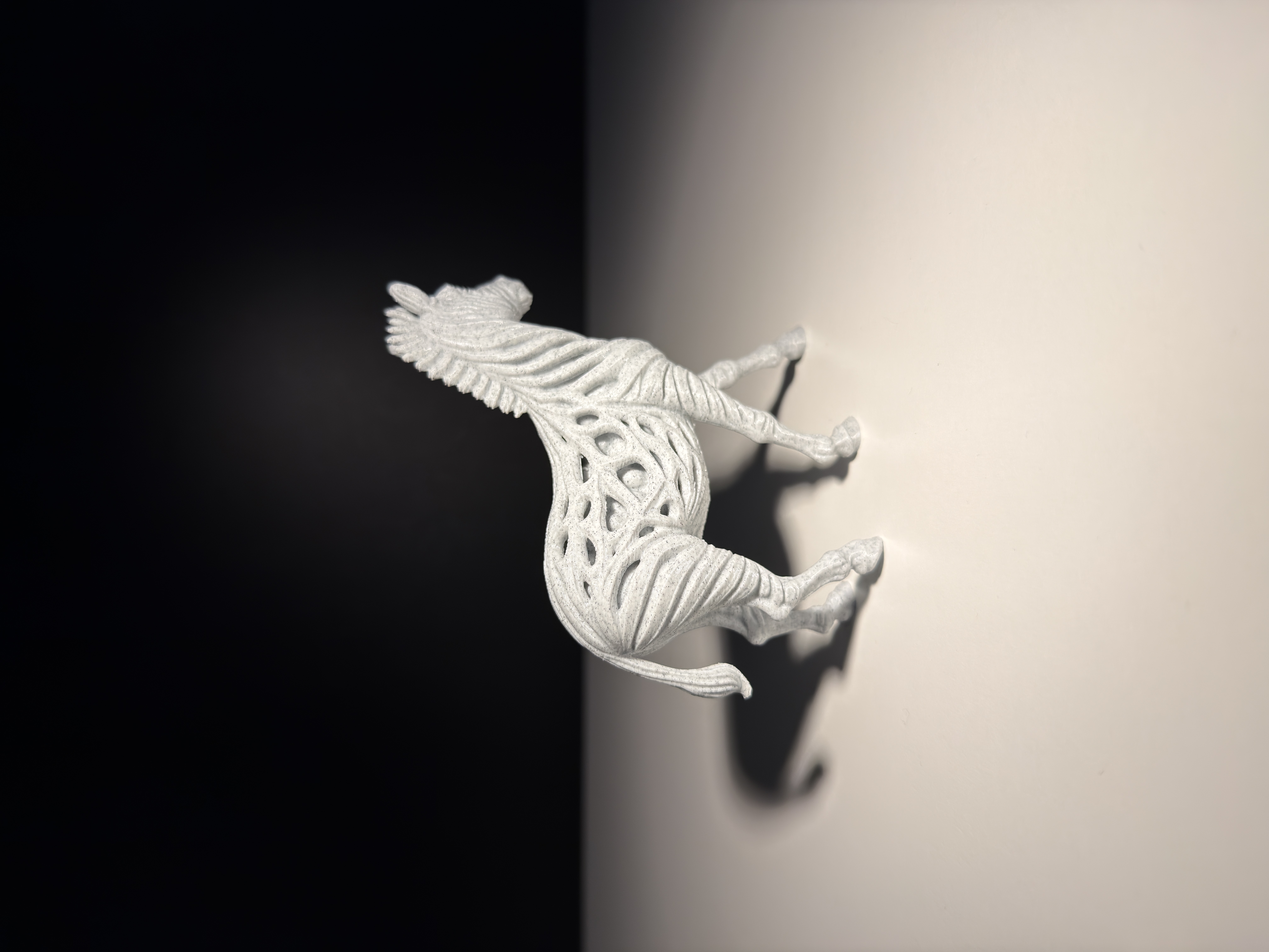 Zebra — miniatura 3