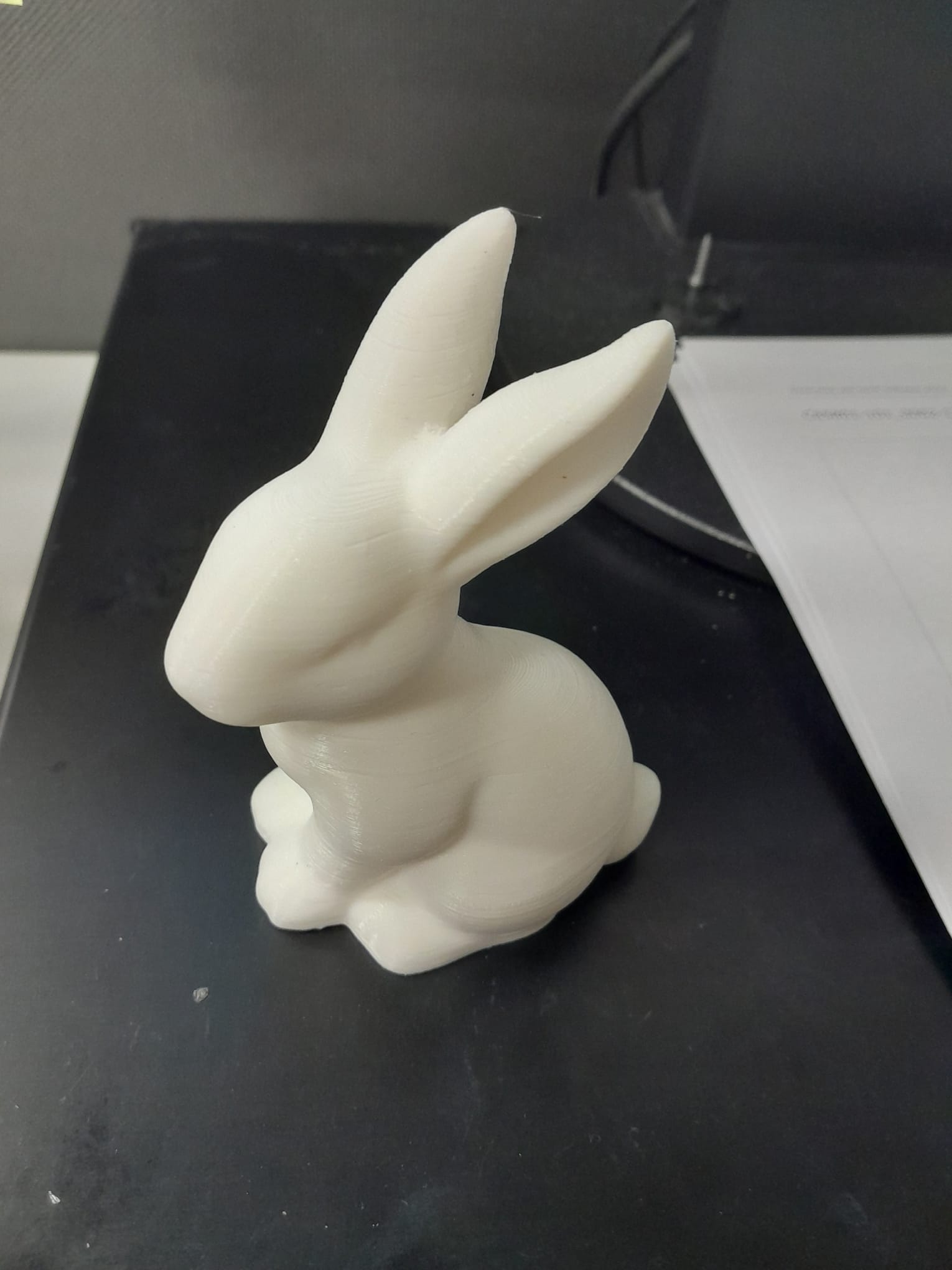 Easter Bunny