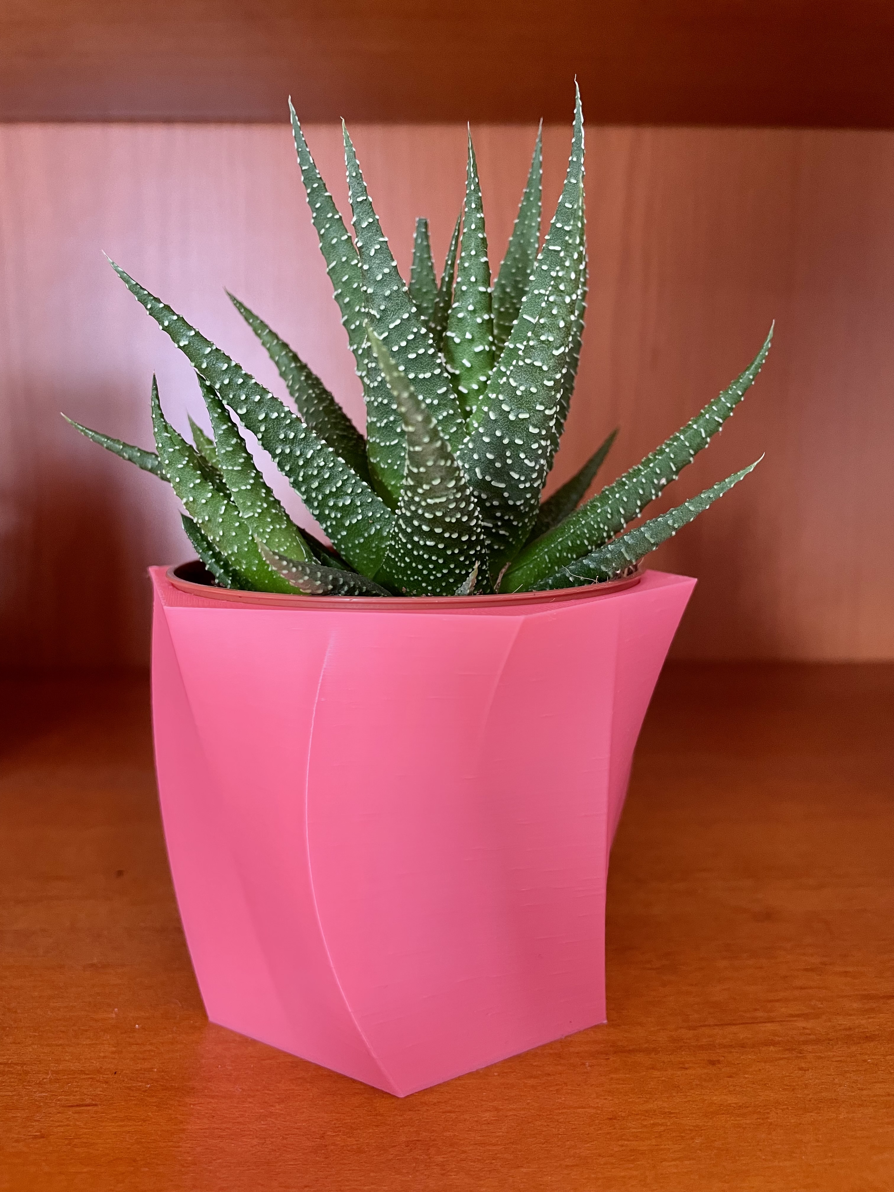 Vase for Ikea Succulent Gasteria