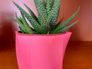 Vase for Ikea Succulent Gasteria by Rustam | Download free STL model |  Printables.com