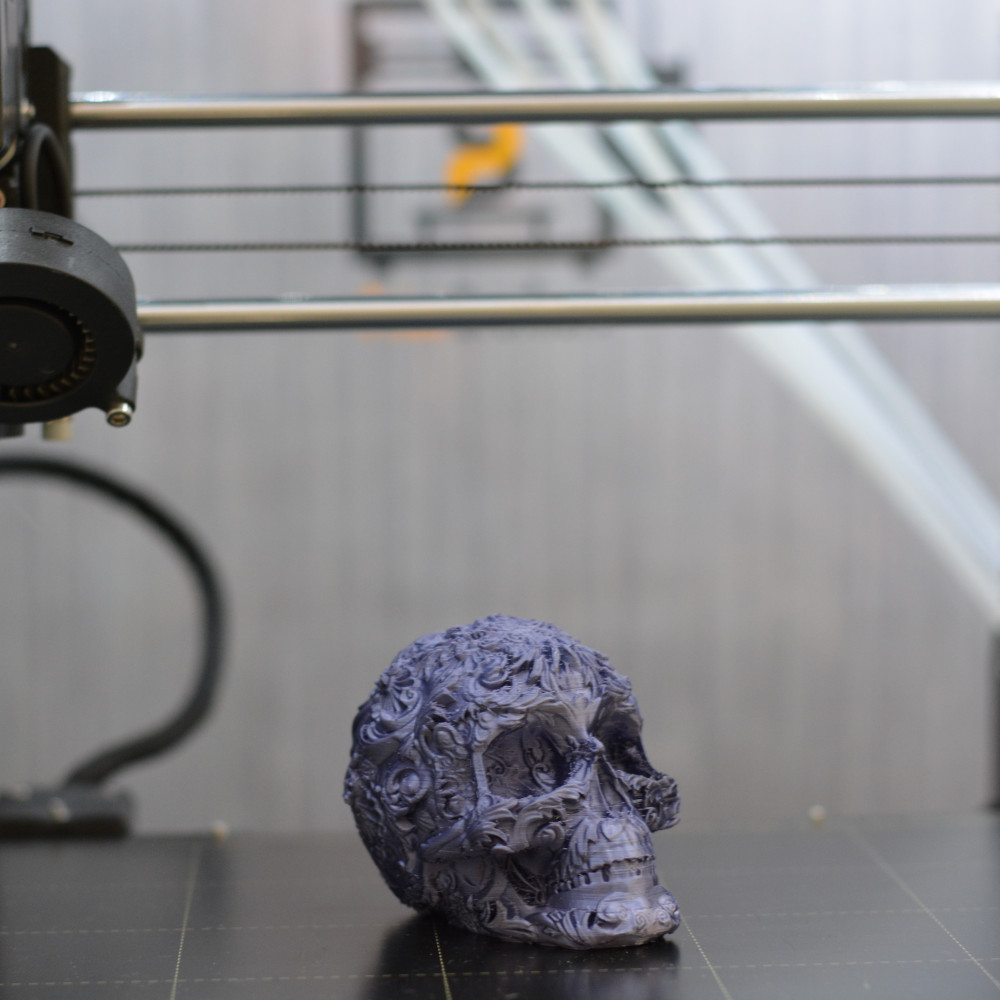 Miniatura 5 do modelo 3D Fancy Skull