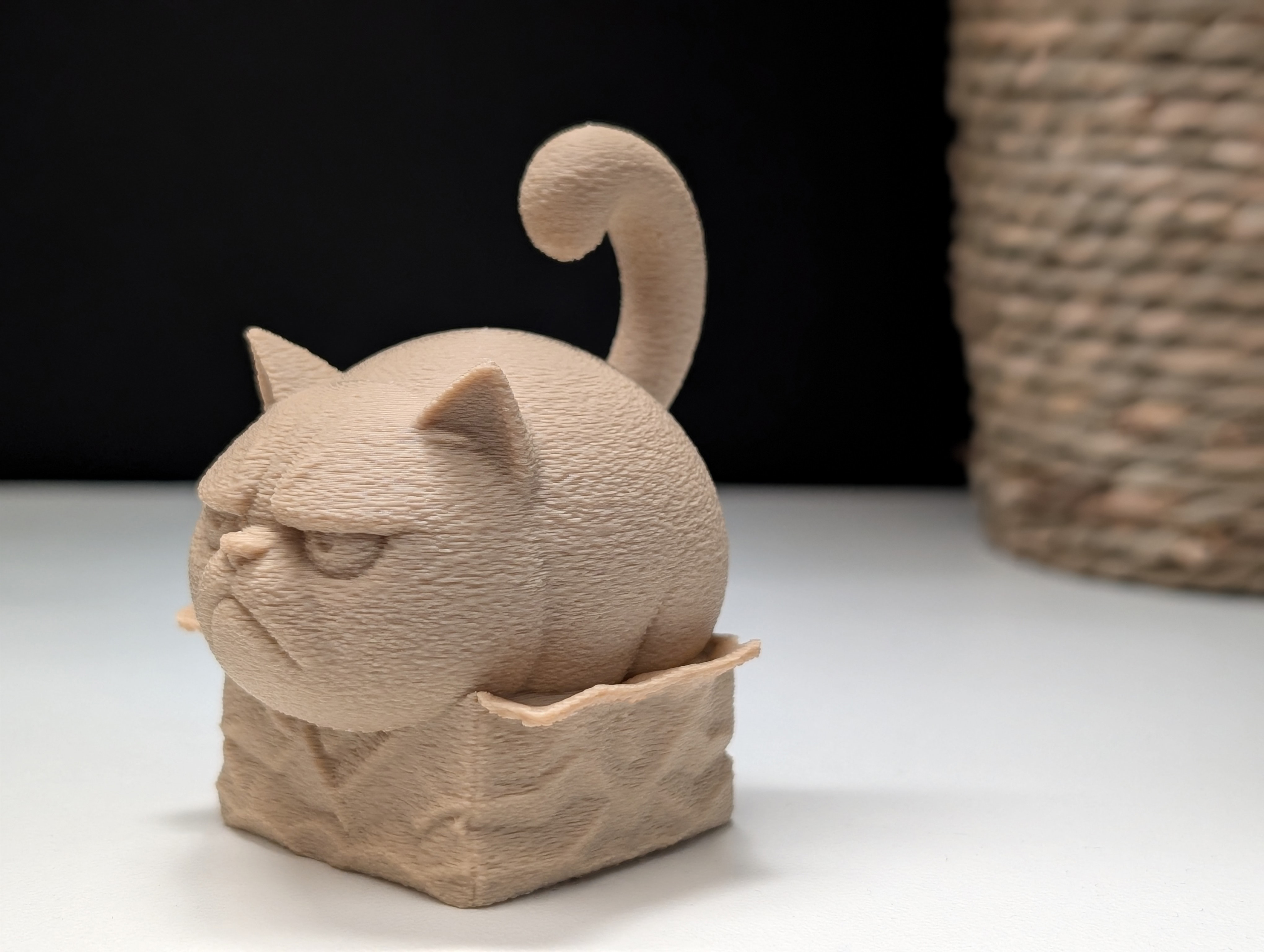Miniatura 9 do modelo 3D Grumpy Cat "in" a Box