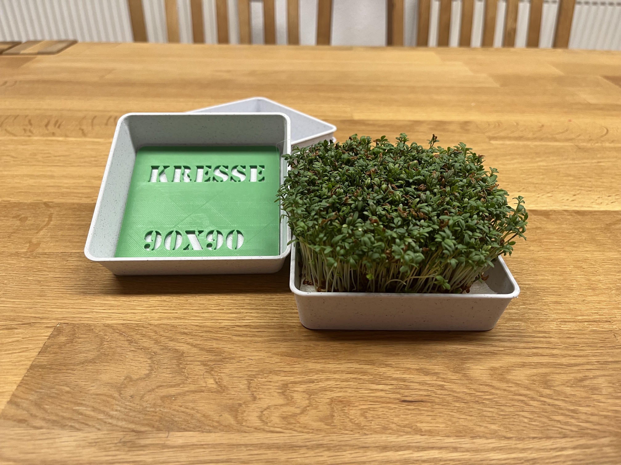 Cress Growing Kit – With Guide
