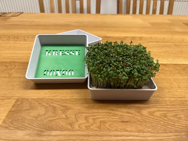 Cress Growing Kit – With Guide