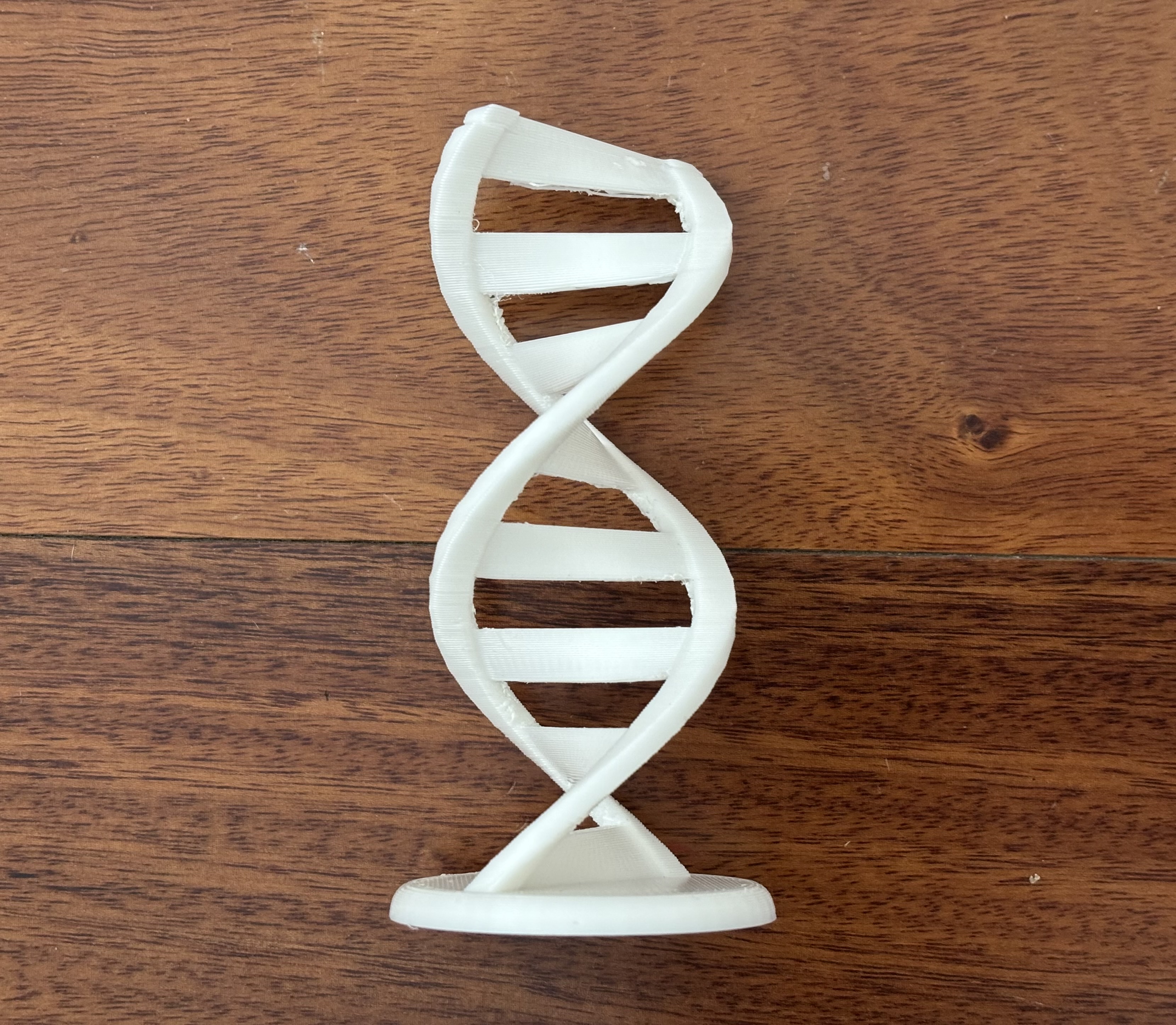 DNA Twin Double Helix Decoration