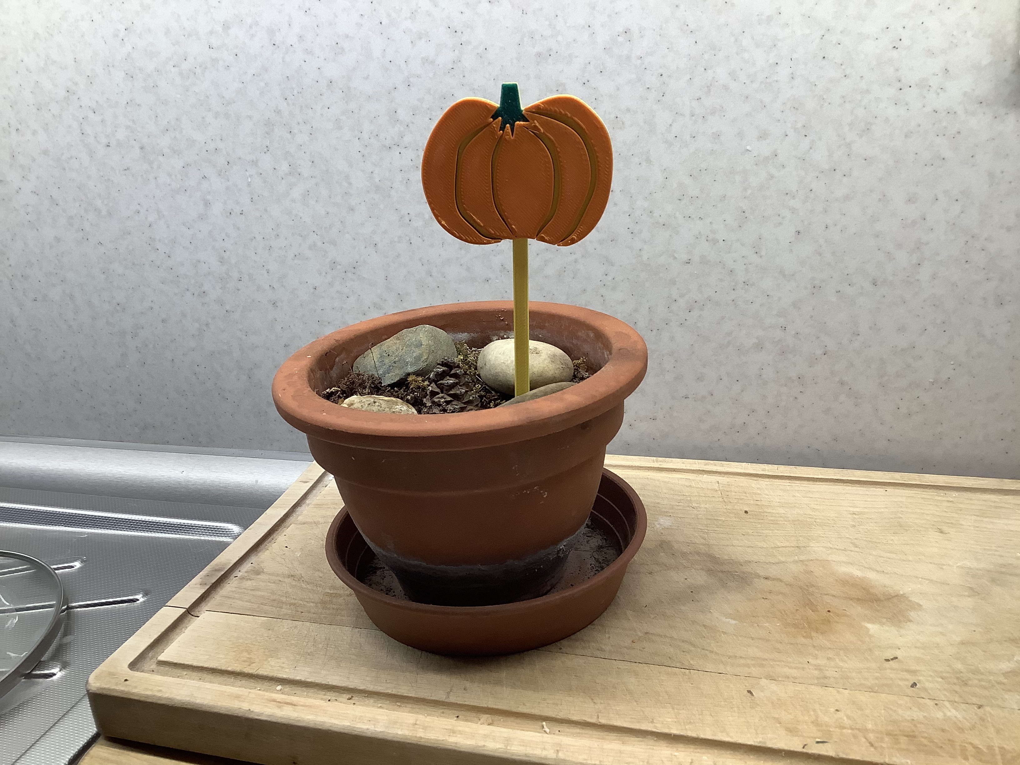 Pumpkin tag (dýně)