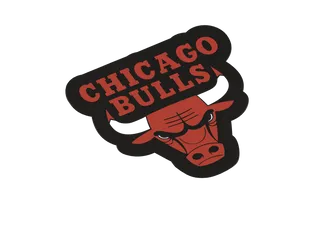 Chicago Bulls Cricut 