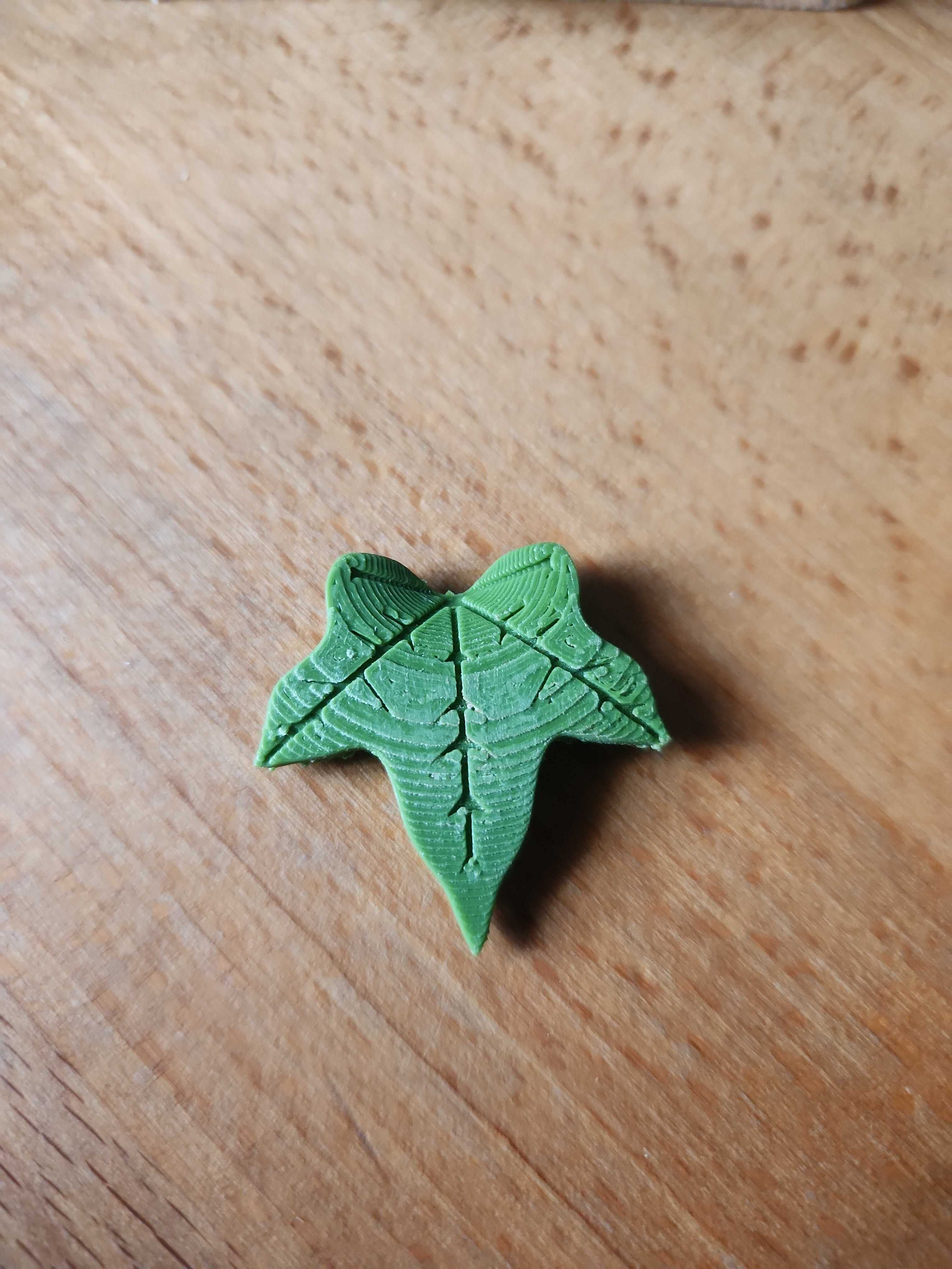 English Ivy Leaf Decorative Pin Front