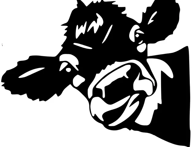 Cow Wall Decor