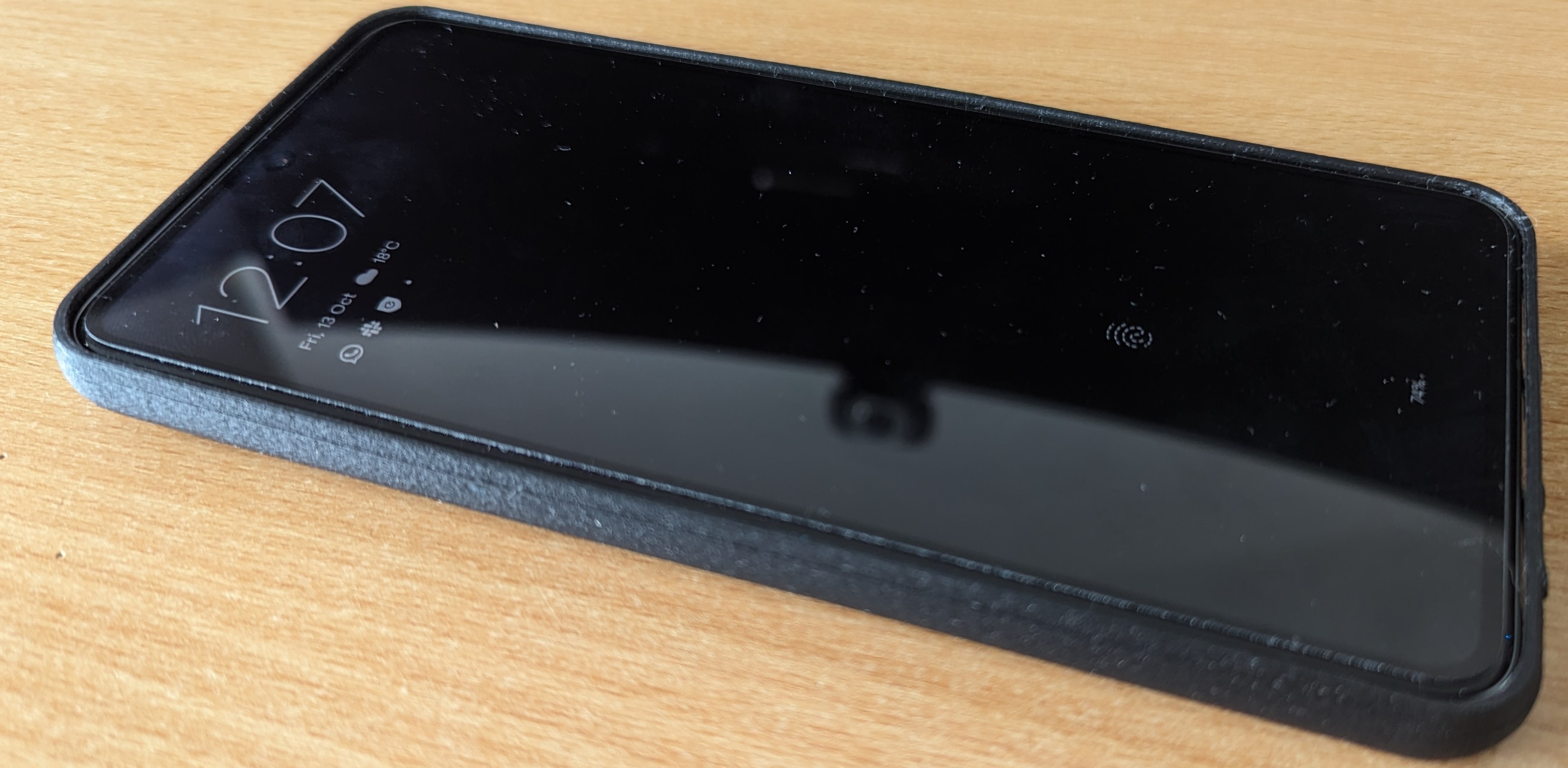 Pixel 8 Pro Case
