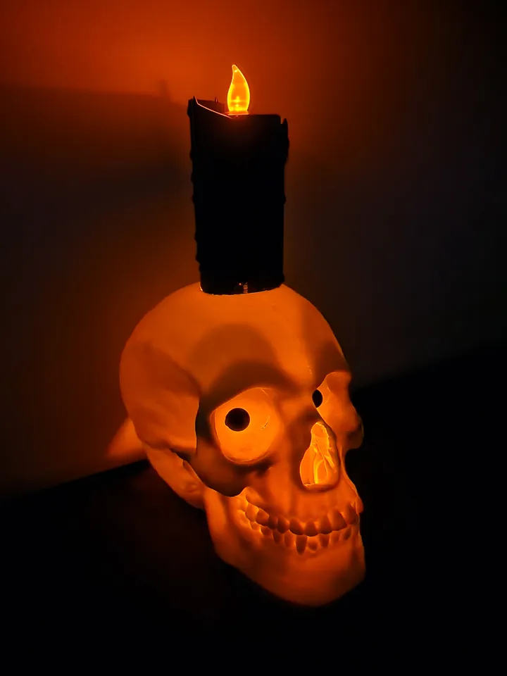 天野タケル 原画 額装済み skull, lemons & a candle $_57.JPG?set_id=8800005007
