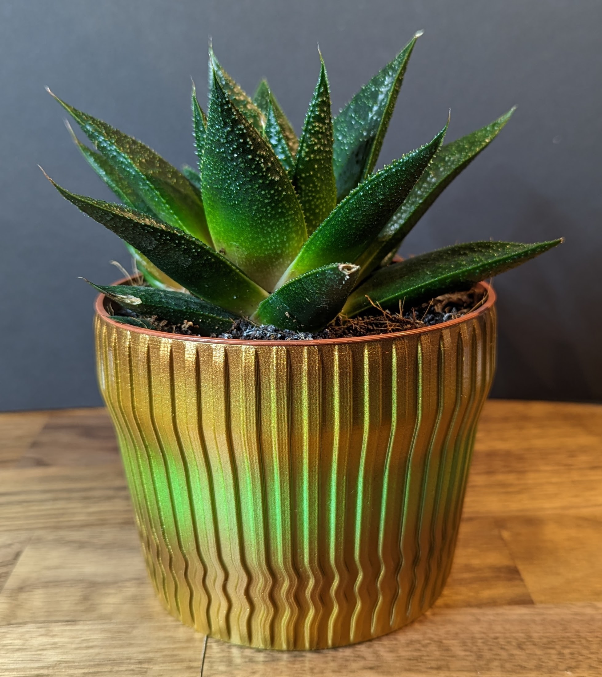 Easy Print Plant Pot
