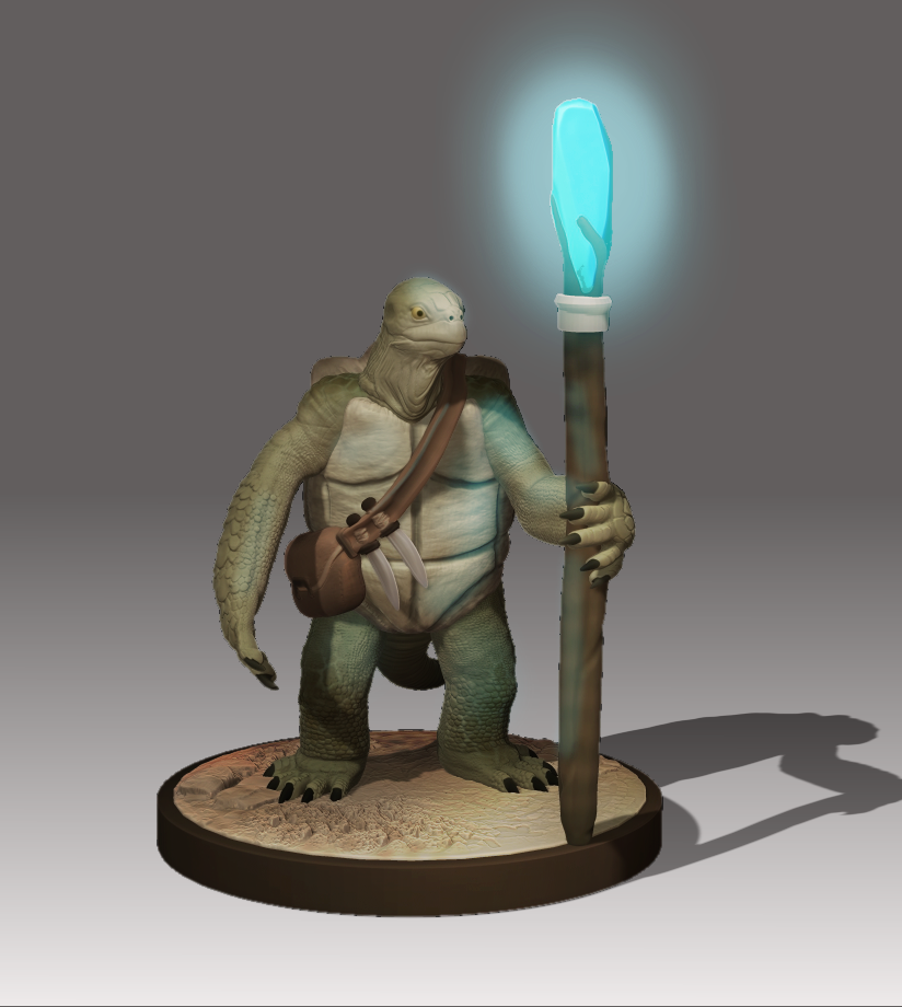 Tortle sorcerer