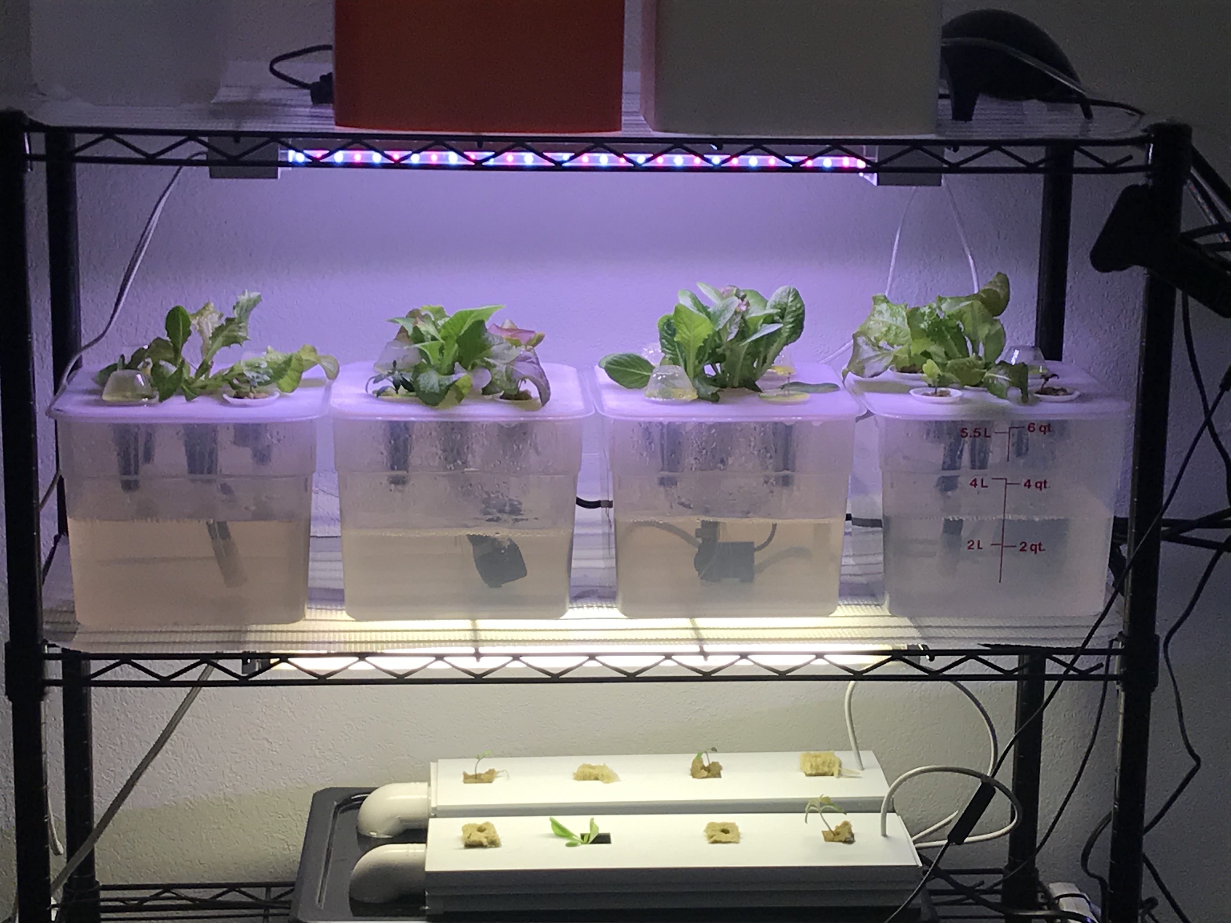 Ultimate Desktop Hydroponic Garden