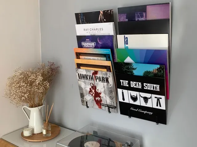 Vinyl holder/hanger (3 vinyls)