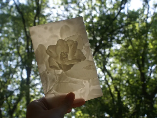 Camellia "More-Than-a-Lithophane"