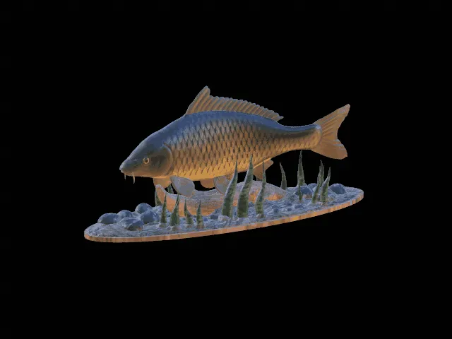 Common Carp Statue with Base – Design 2.0