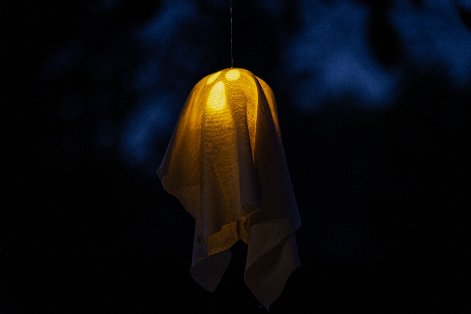 Flyin'ghost by ntcom | Download free STL model | Printables.com