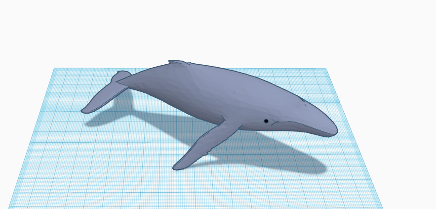Whale