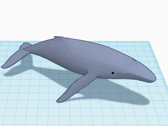Whale