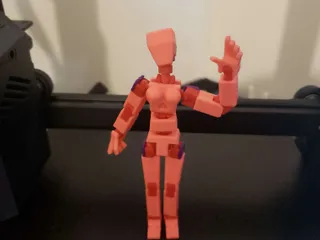 Easy13 Female (Fembot) by Betruet | Download free STL model ...