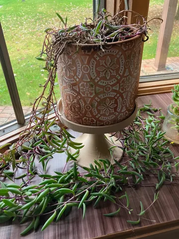 Round Plant Stand