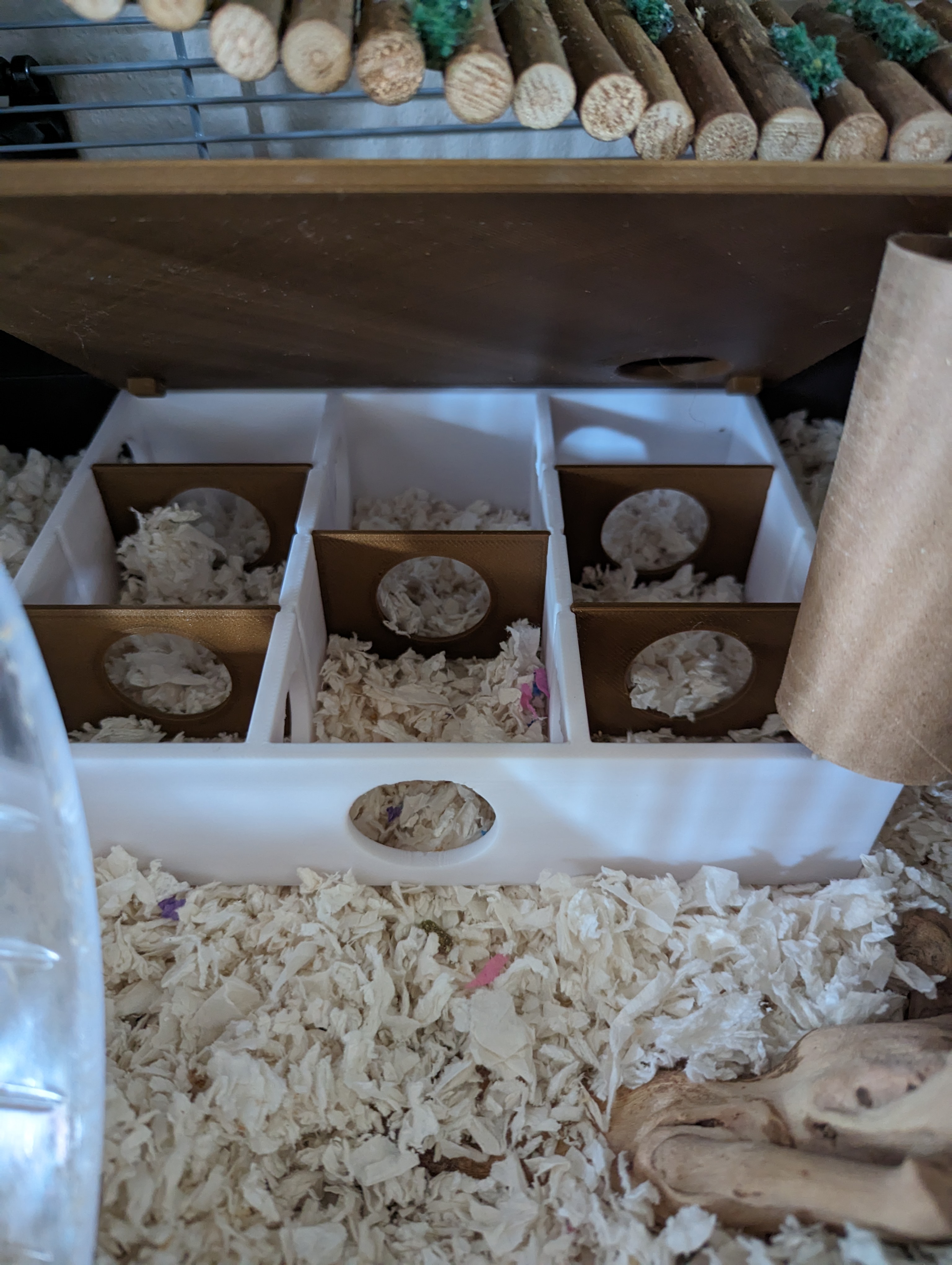 Hamster Multi-Chamber Hideout